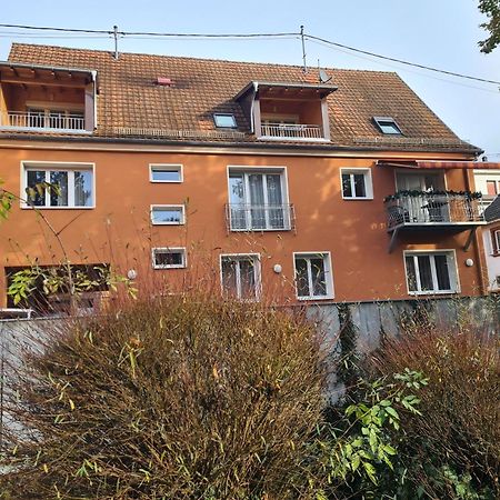 Meubles Du 25 N2 F2 Rdc Apartment Niederbronn-les-Bains Ngoại thất bức ảnh