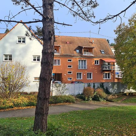 Meubles Du 25 N2 F2 Rdc Apartment Niederbronn-les-Bains Ngoại thất bức ảnh